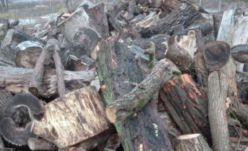 Sprzedaż drewna opałowego - 16,70 m3